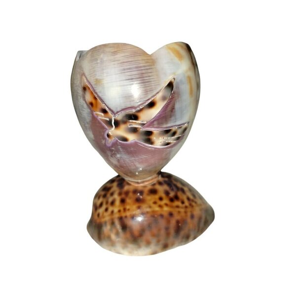 Vintage Cowrie Shell Toothpick Holder Beach House Decor Souviner Collectible - Picture 4 of 9